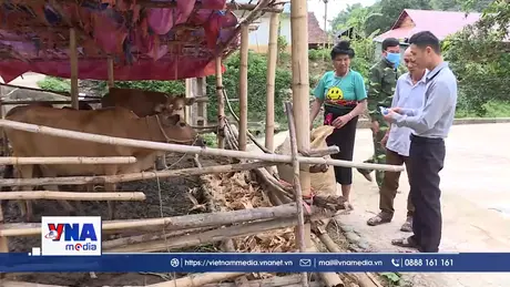 Tăng cường vai trò cán bộ thú y cơ sở ở Điện Biên