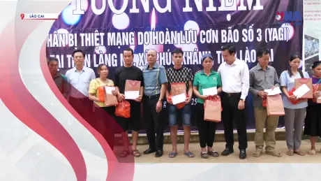 S Việt Nam ngày 11/9/2025