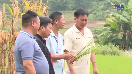 Chỉ đạo, điều hành ngày 11/9/2025 