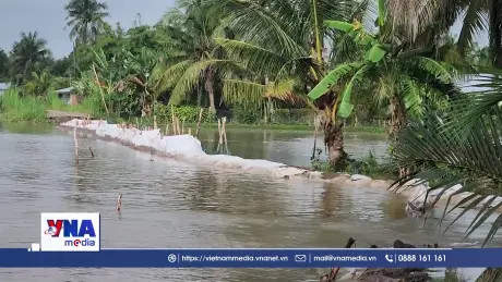Sạt lở, triều cường tại Vĩnh Long ảnh hưởng đời sống người dân