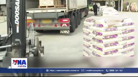 Hàn Quốc áp dụng các biện pháp bình ổn do giá gạo tăng cao