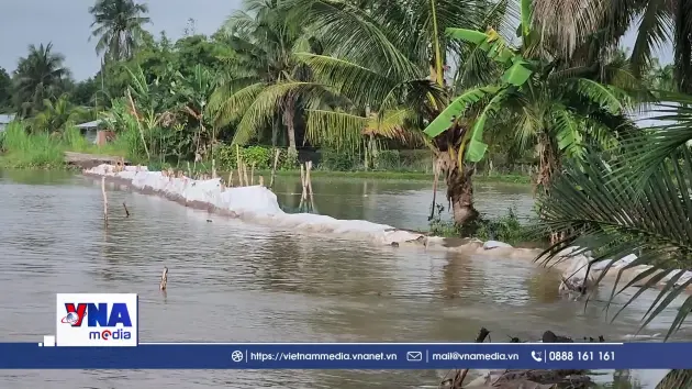 Sạt lở, triều cường tại Vĩnh Long ảnh hưởng đời sống người dân