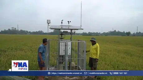 Phát triển Tổ Khuyến nông cộng đồng trong chính quyền địa phương 2 cấp