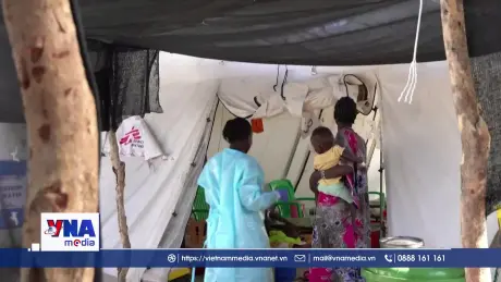 Số ca tử vong do bệnh tả tăng 50% trong năm 2024
