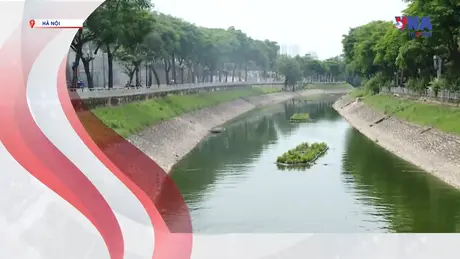 S Việt Nam ngày 16/9/2025