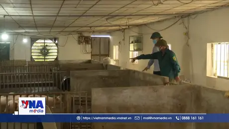 Vai trò của đội ngũ thú y cơ sở trong phòng, chống dịch ở Hưng Yên