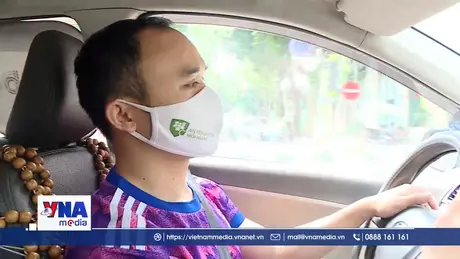 Có nên bỏ cây xanh trên dải phân cách cao tốc?