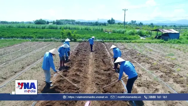 Xu hướng khởi nghiệp xanh nhiều tiềm năng