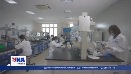 Vaccine dịch tả lợn châu Phi nâng cao vị thế nông nghiệp Việt