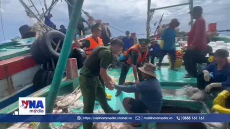 Biên phòng Côn Đảo bắt giữ đối tượng lẩn trốn trên tàu cá