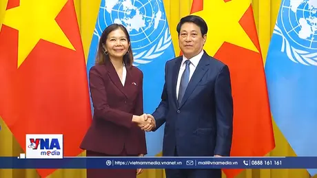 Chủ tịch nước tiếp các Đại diện Liên hợp quốc tại Việt Nam