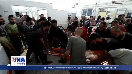 WHO lo ngại trước lệnh sơ tán ở Dải Gaza