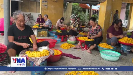Giữ gìn, phát triển thương hiệu làng nghề ươm tơ Cổ Chất