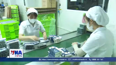 Xây dựng chuỗi cung ứng bền vững