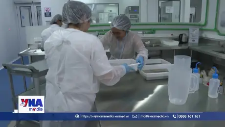 Brazil chống sốt xuất huyết bằng nhà máy sản sinh muỗi