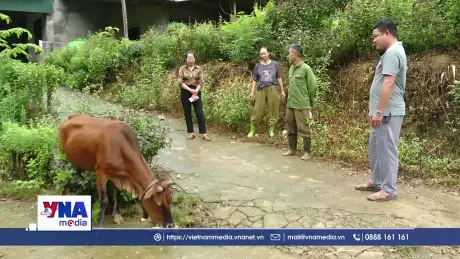 Xã vùng hồ Tiền Phong nỗ lực phát triển kinh tế, giảm nghèo bền vững