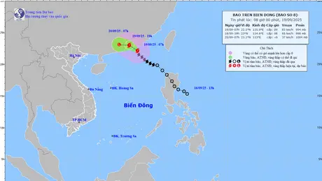 Bão số 8 cách Hong Kong (Trung Quốc) khoảng 200km với sức gió giật cấp 11
