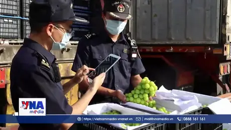 Rau quả Việt bứt phá trở lại thị trường Trung Quốc