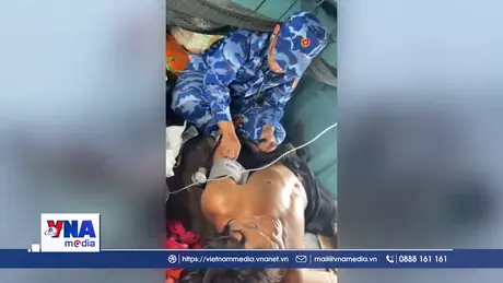 Kịp thời cấp cứu ngư dân bị rắn biển cắn
