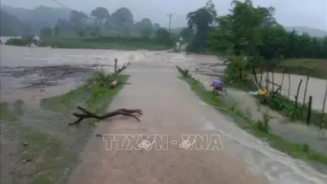 Bão số 8 suy yếu thành áp thấp nhiệt đới, từ Quảng Trị đến Gia Lai có mưa to