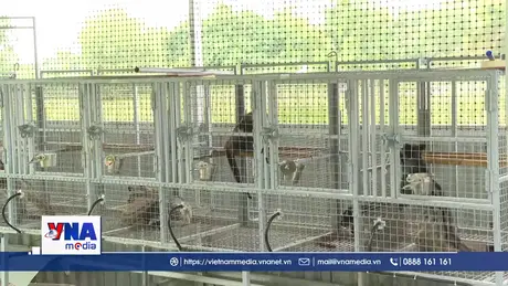 Quản lý chặt chẽ hoạt động gây nuôi động vật hoang dã