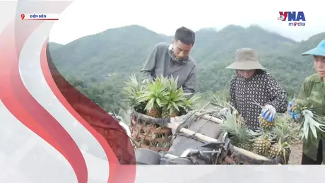 S Việt Nam ngày 22/9/2025