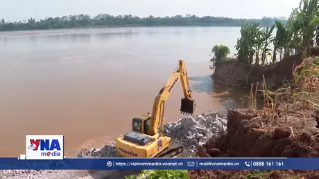 Khẩn trương thi công kè chống sạt lở bờ sông Thao