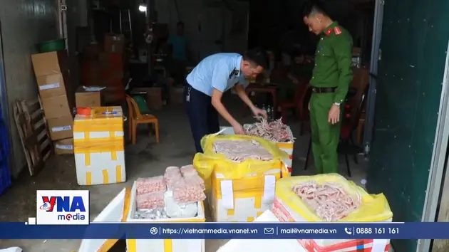 Hàng nghìn chân gà, xúc xích, nem chua thịt đông lạnh không rõ nguồn gốc