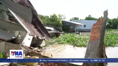 Đồng Tháp khẩn trương xử lý sạt lở bờ sông Tiền