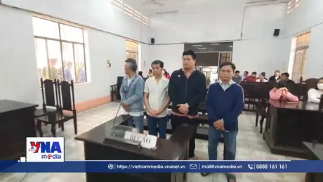 Xét xử nhóm đối tượng sử dụng chất độc hại để sản xuất giá đỗ
