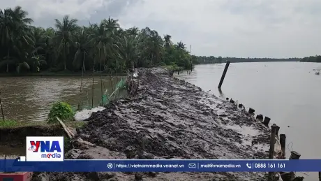 Vĩnh Long Khắc phục sạt lở đoạn đê bao sông Măng Thít