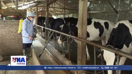 Phú Thọ phòng chống dịch bệnh từ chăn nuôi an toàn sinh học