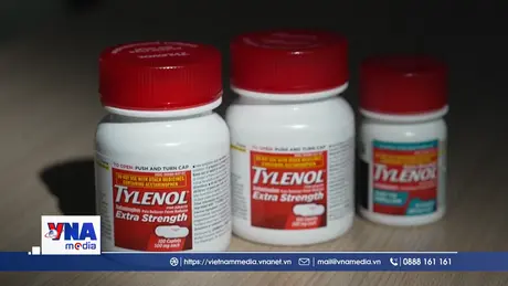 WHO, EU nêu quan điểm về sử dụng Paracetamol trong thai kỳ