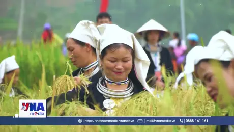Kỳ tích giảm nghèo – Sức mạnh từ ý Đảng, lòng dân