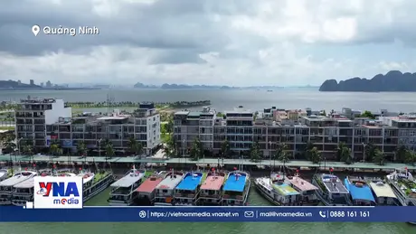 Quảng Ninh kêu gọi tàu thuyền về nơi tránh trú bão an toàn