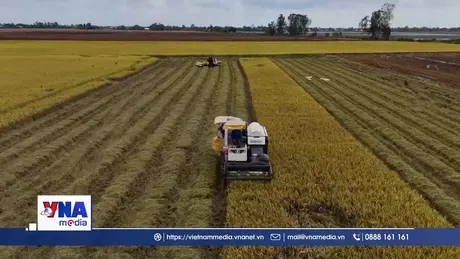 Ứng phó thiên tai để đảm bảo mục tiêu tăng trưởng cuối năm