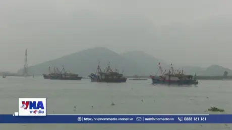 Tâm bão số 9 cách Quảng Ninh dưới 200km