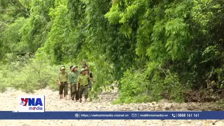 Quảng Trị tạo sinh kế để bảo vệ rừng bền vững