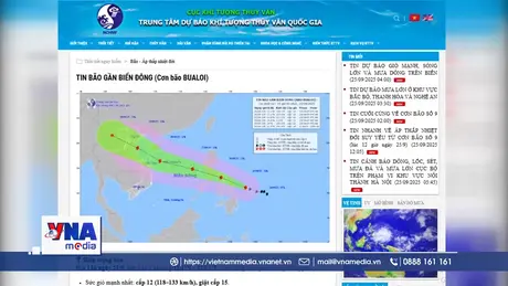Thông tin ban đầu về cơn bão BUALOI