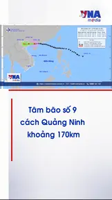 Tâm bão số 9 cách Quảng Ninh khoảng 170km