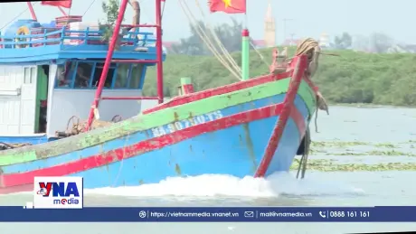 Nghệ An cấm các loại tàu thuyền ra khơi từ 5 giờ ngày 27/9