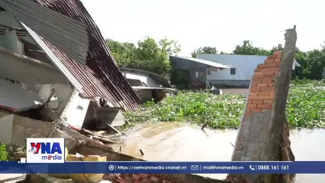 Đồng Tháp công bố tình huống khẩn cấp sạt lở bờ sông Tiền 