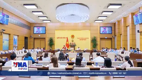 Ứng dụng công nghệ thông tin trong quy trình hiệp thương, ứng cử