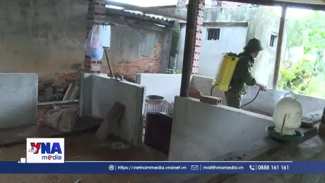 Dịch tả lợn châu Phi tại Cao Bằng từng bước được kiểm soát