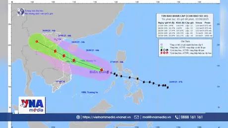 Tin bão khẩn cấp - cơn bão số 10