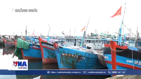 Chủ tịch UBND tỉnh Quảng Ngãi kiểm tra công tác phòng chống bão