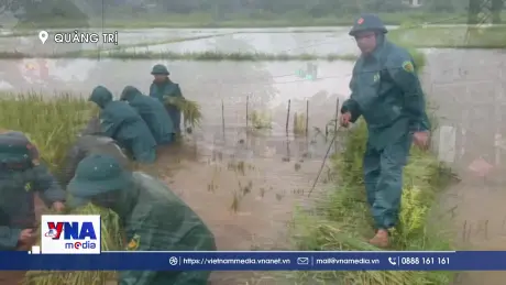 Lực lượng vũ trang Quảng Trị hỗ trợ người dân ứng phó bão số 10