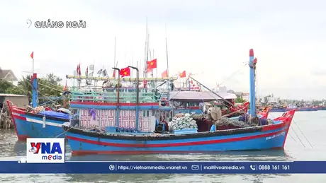 Ngư dân Quảng Ngãi chủ động ứng phó bão số 10