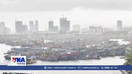 Ngư dân miền Trung tránh bão tại Âu thuyền Thọ Quang