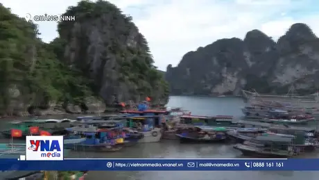 Quảng Ninh dừng cấp phép tàu biển để tránh bão